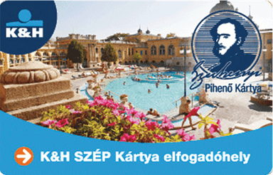 Elfogadott fizetési mód